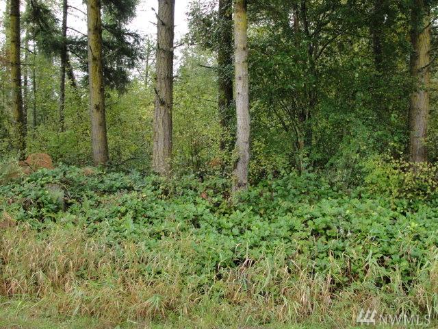 38419 Mountain Hwy - Photo 1