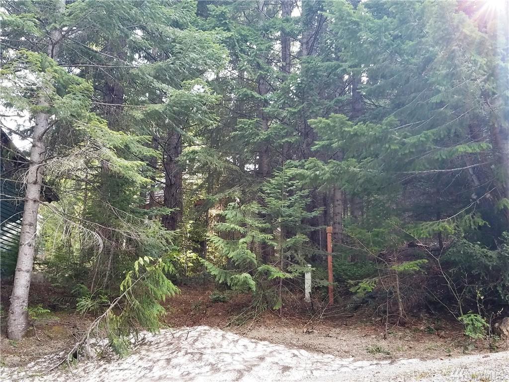 93-Lot 93 Via Kachess Rd - Photo 1