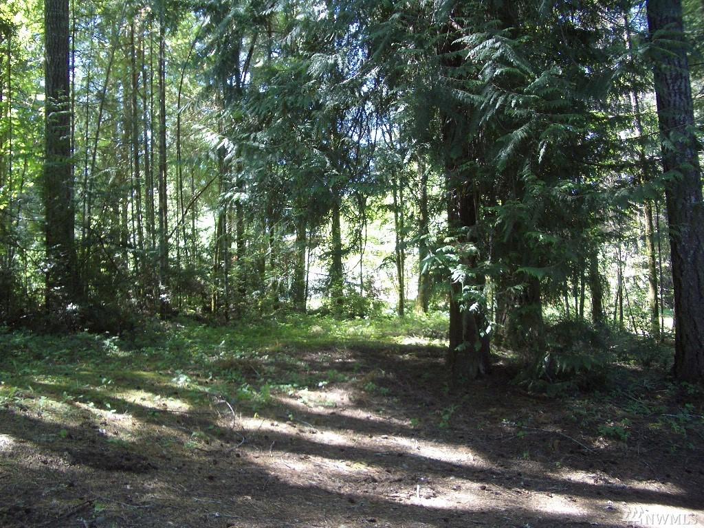 370 Insels Rd - Photo 1