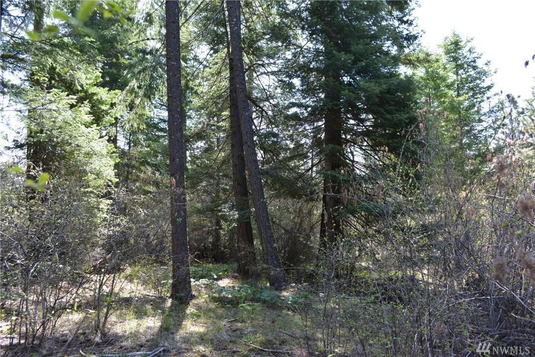 240 Snowberry Lp - Photo 1
