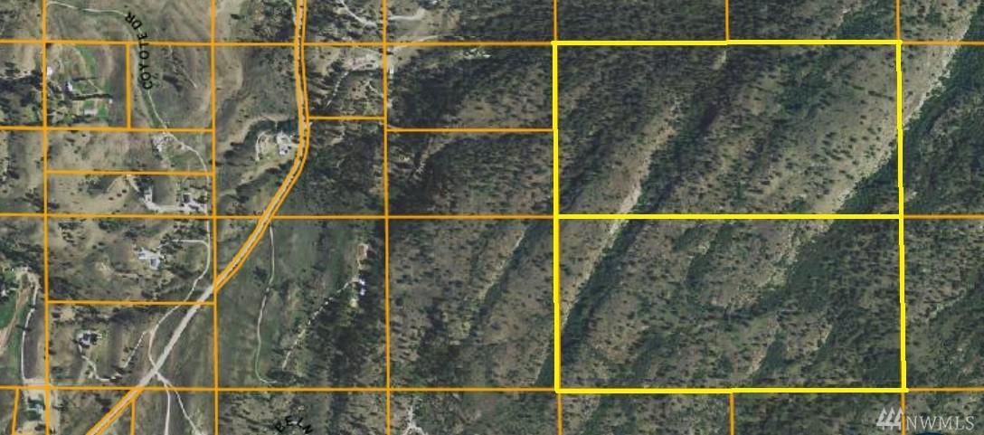0 Bear Camp Rd - Photo 1