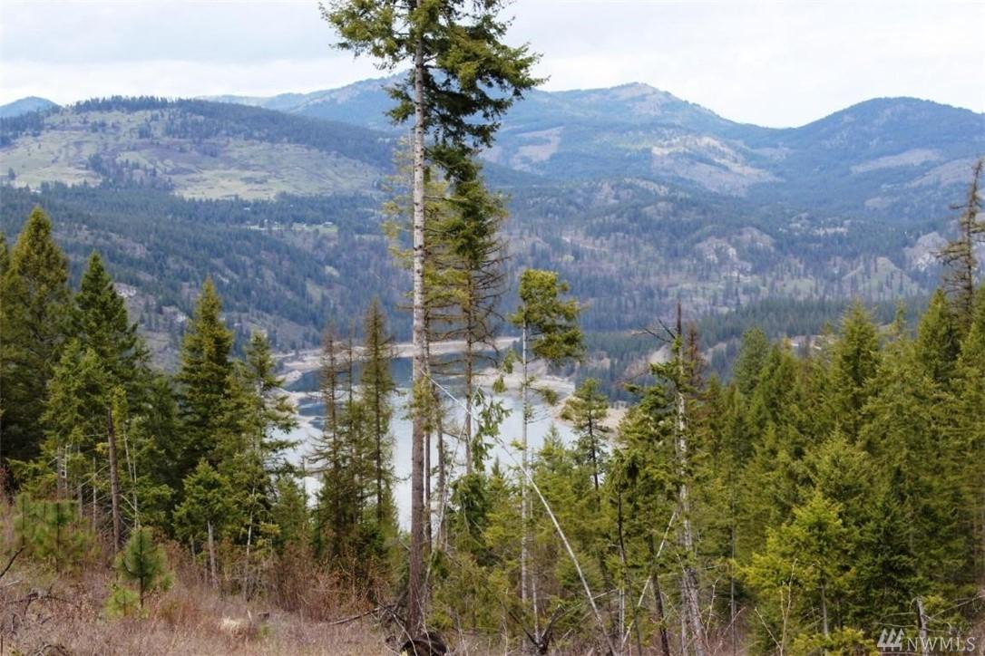 0-TBD China Creek Rd - Photo 1