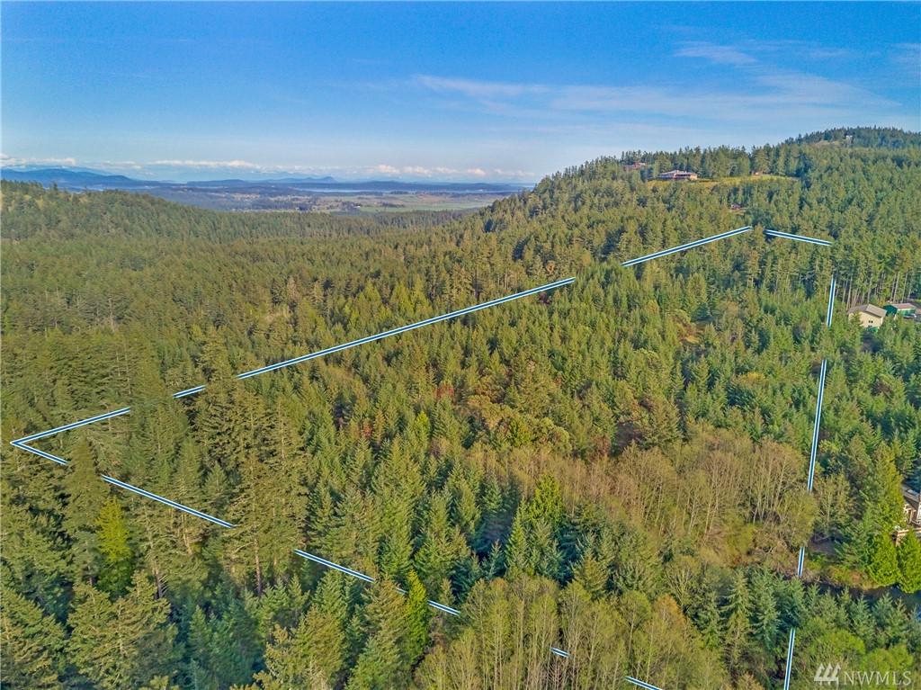 0 Mount Dallas Rd - Photo 1