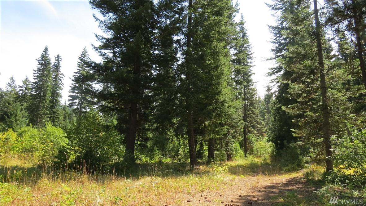 9-Lot 9 Cozy Lane - Photo 1