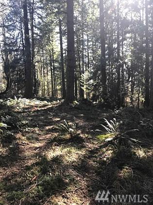 0 Isaacson Rd - Photo 1