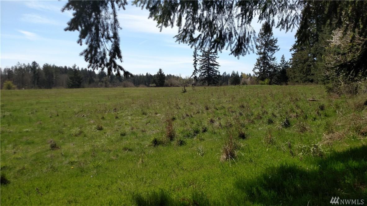 13649 Morris Rd - Photo 1