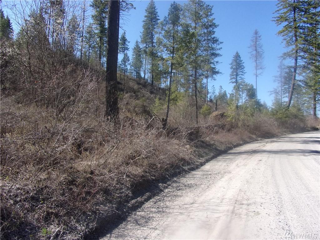 7525 Bernhill Rd - Photo 1