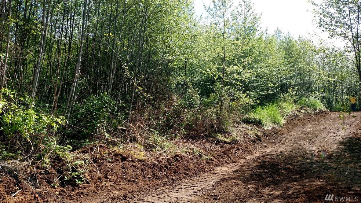 0 1st St - Photo 1