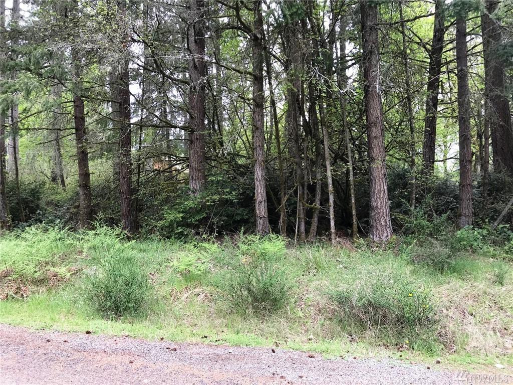 12619 Silver Dr - Photo 1