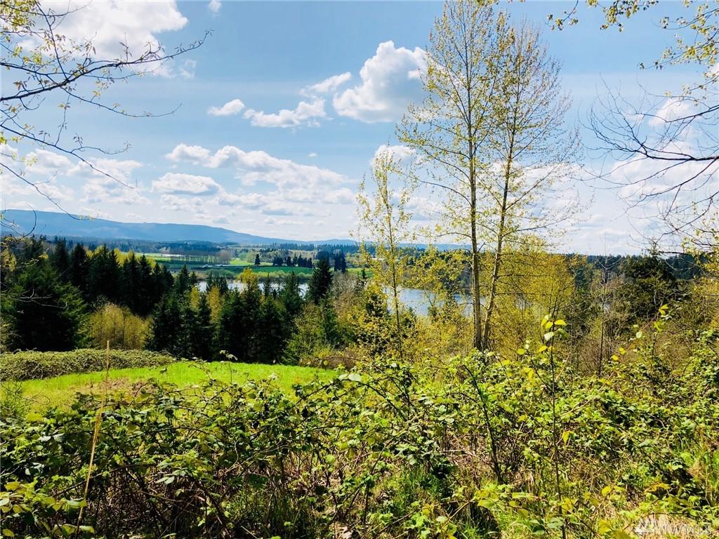 39816 Harts Lake Rd - Photo 1