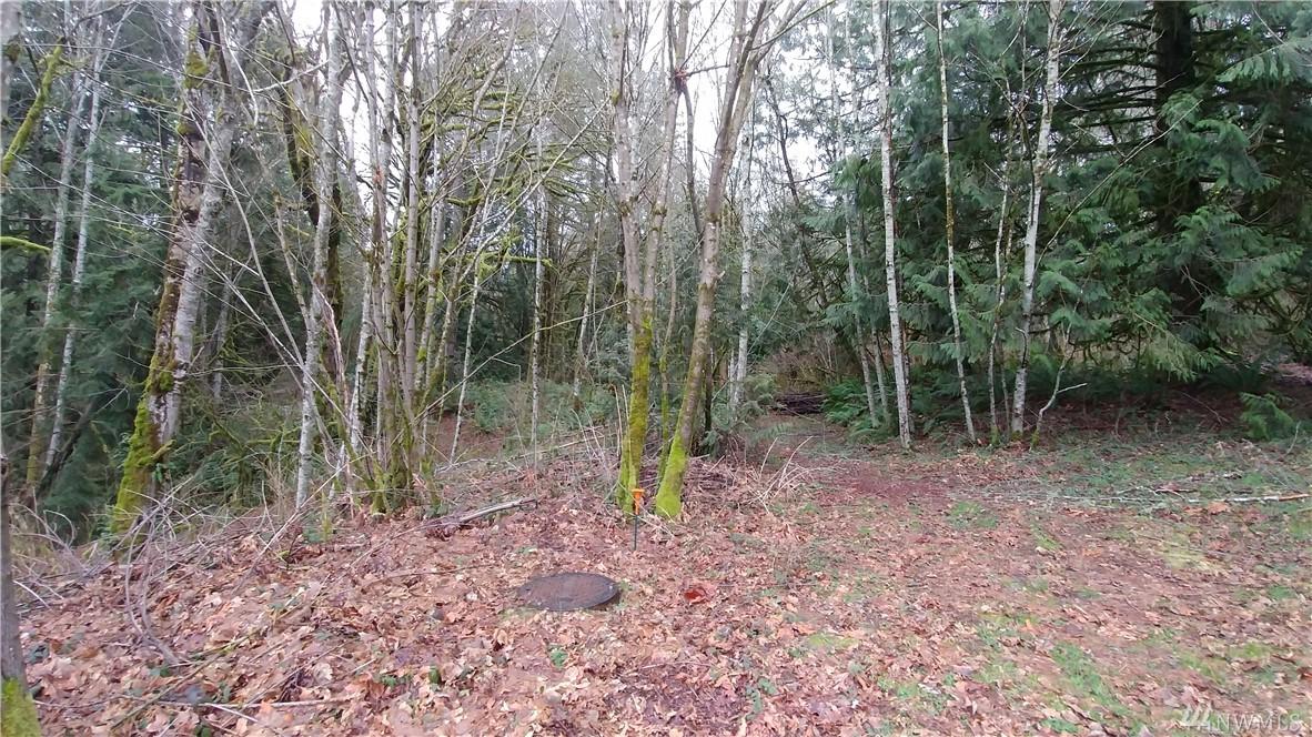 12716 Longbranch Gig Harbor Hwy St - Photo 1