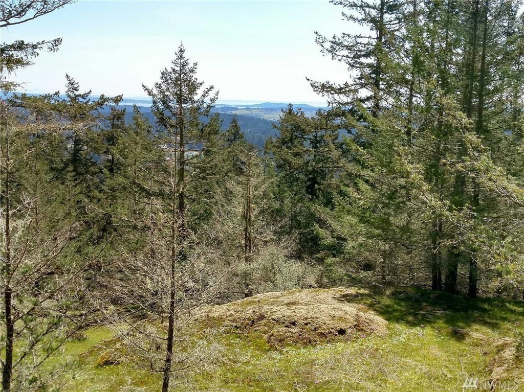 1636 Cady Mountain Rd - Photo 1