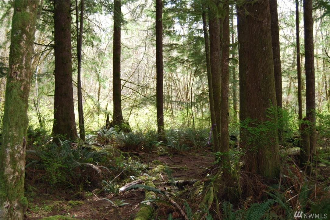 0-xx Hoquiam Rd - Photo 1