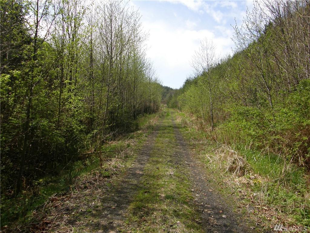 3-XX Minkler Rd - Photo 1