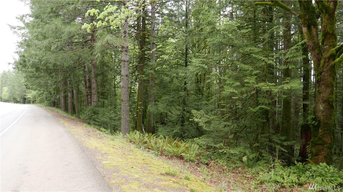 306 Highway 101 - Photo 1