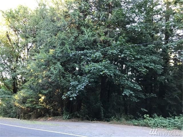17318 63rd St Ct - Photo 1