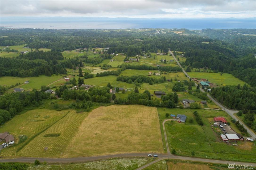 92 Black Bear Trail - Photo 1