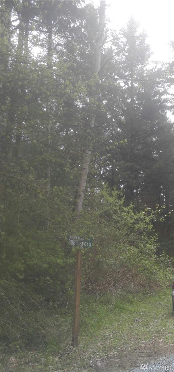 111 388th St Ct - Photo 1