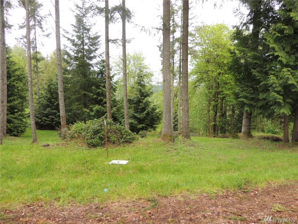 0 Alderwood Dr - Photo 1