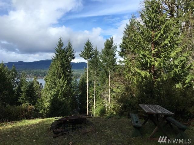 19780 North Shore Rd - Photo 1