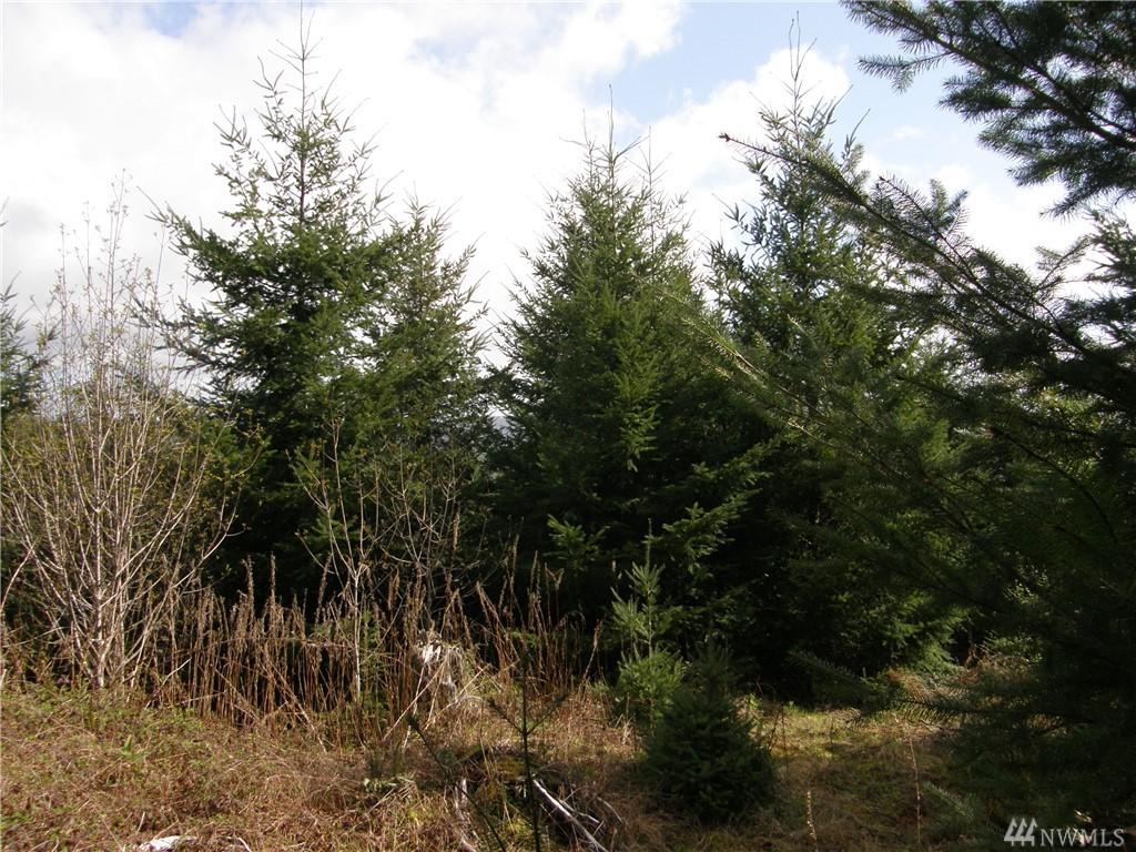 7-XX Cloquallum Rd - Photo 1