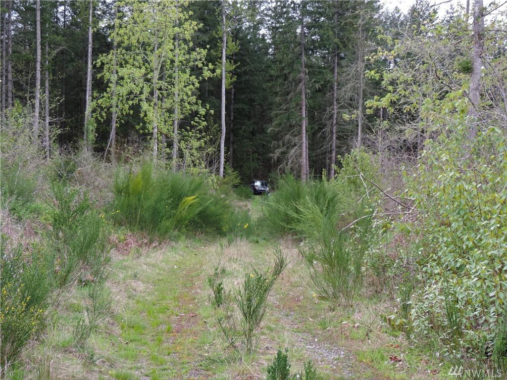 111 Highland Dr - Photo 1