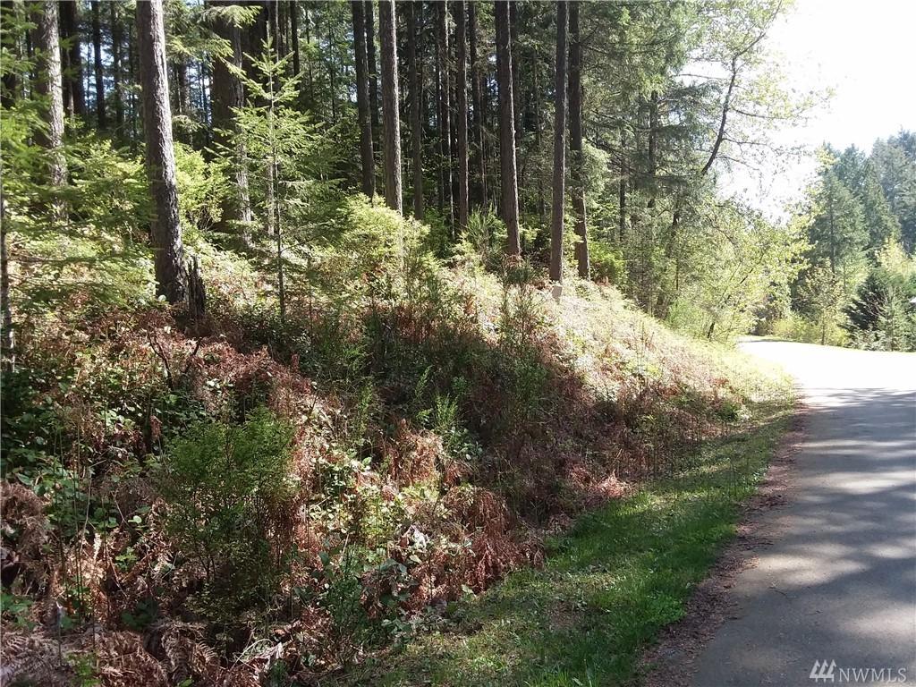 561-& 581 Duckabush Dr - Photo 1