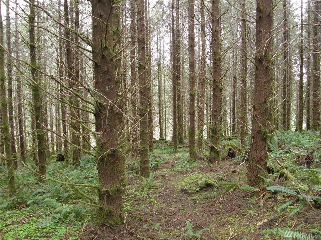 5-X Lund Rd - Photo 1
