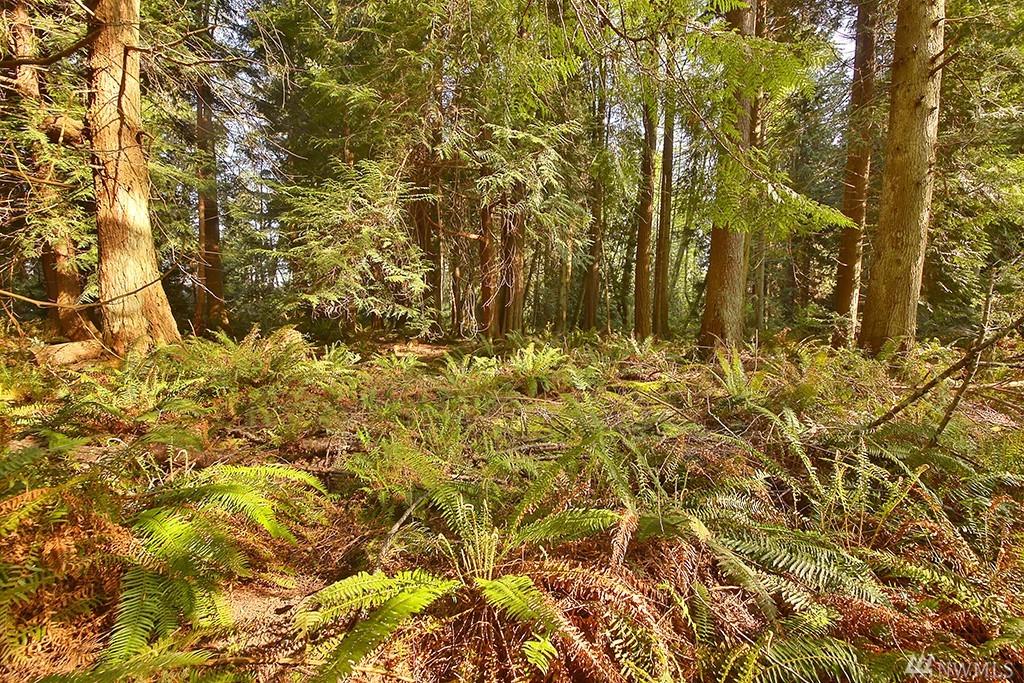 0-XXX Sandy Point Rd - Photo 1
