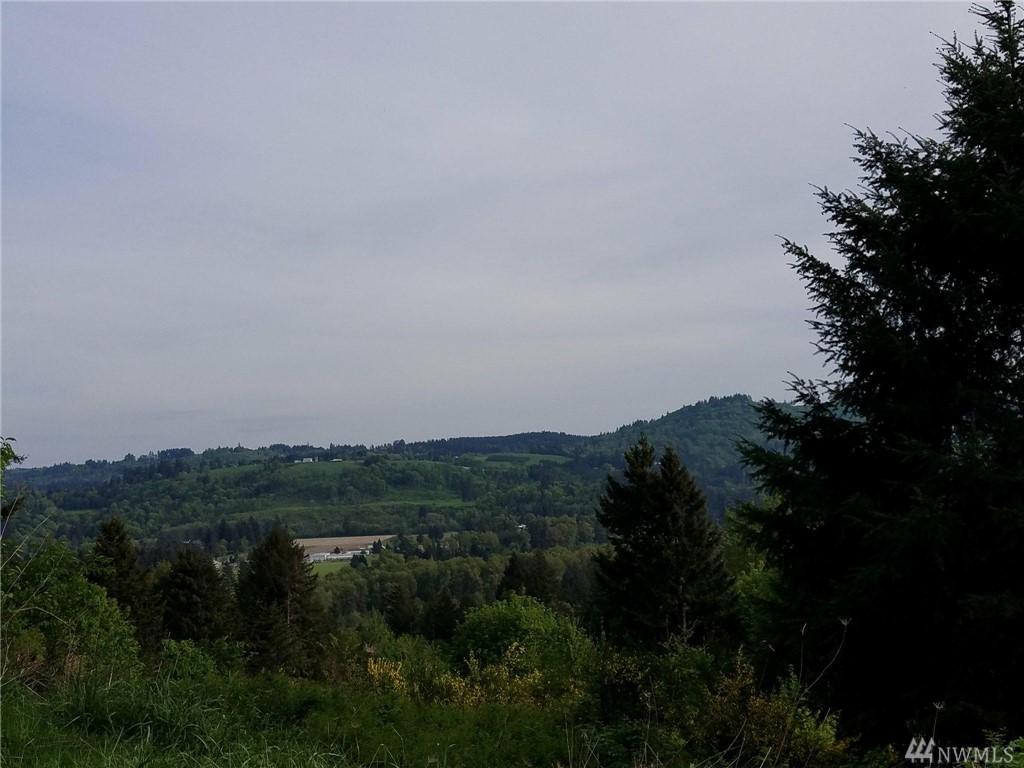 264 Idaho View Rd - Photo 1