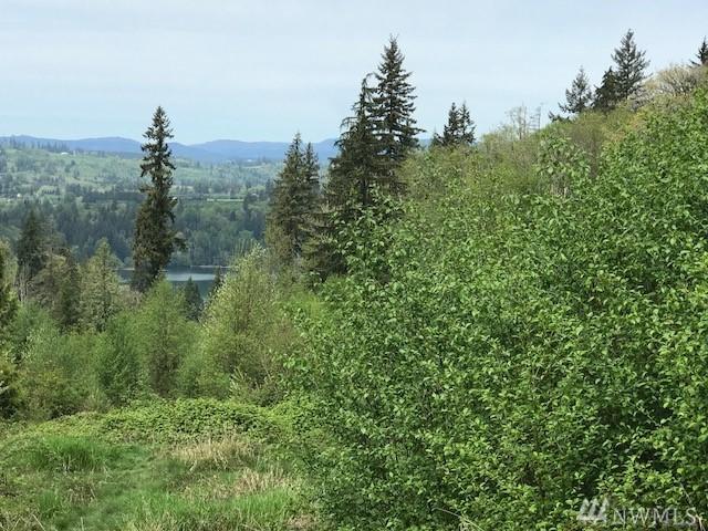 0 Tanglewood Dr - Photo 1