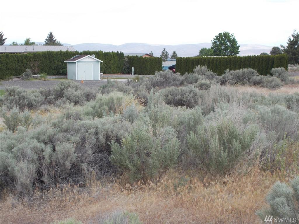103 Desert Aire Dr - Photo 1