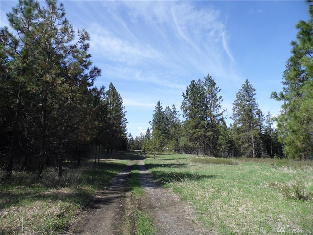 12345 Spring Ridge Rd - Photo 1