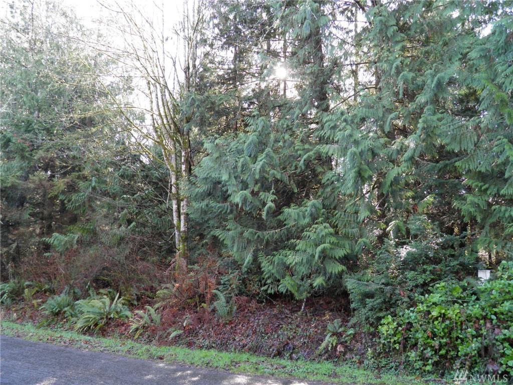 126 Goliah Lane - Photo 1