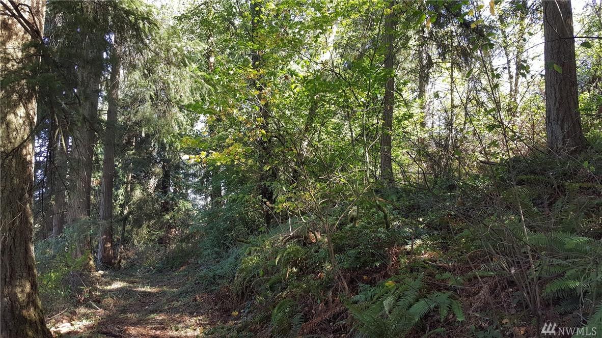 398-XX 272nd Ave - Photo 1
