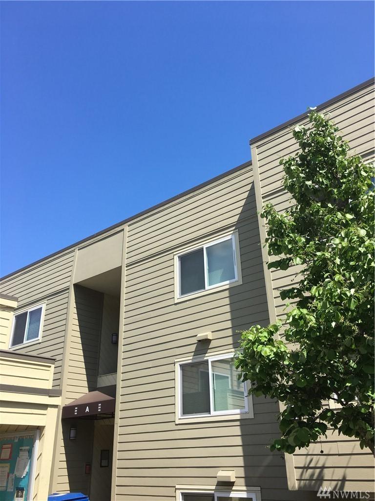 5844 75th St - Photo 1