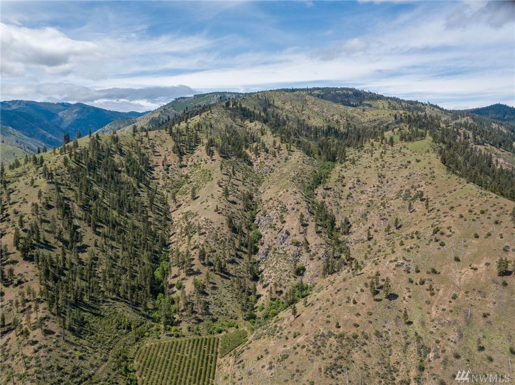 0 Entiat River Rd - Photo 1