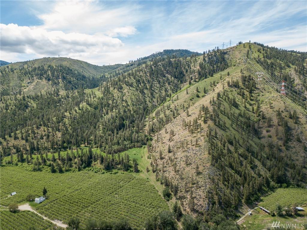 0 Entiat River Rd - Photo 1
