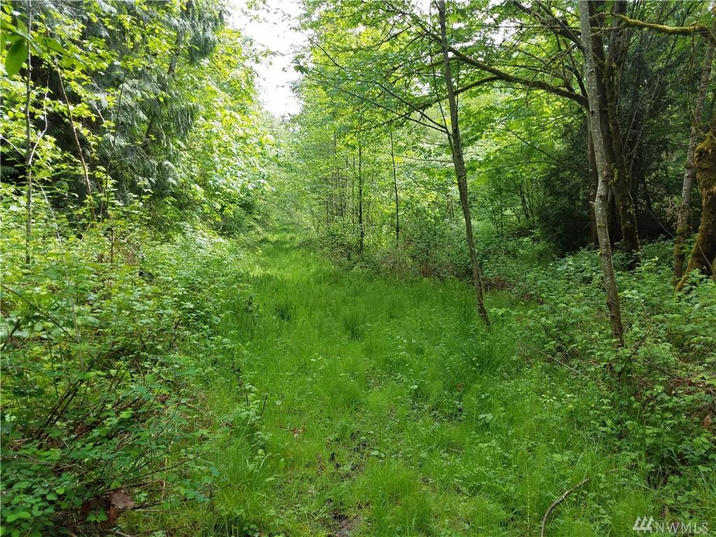 0 Tybren Heights Rd - Photo 1