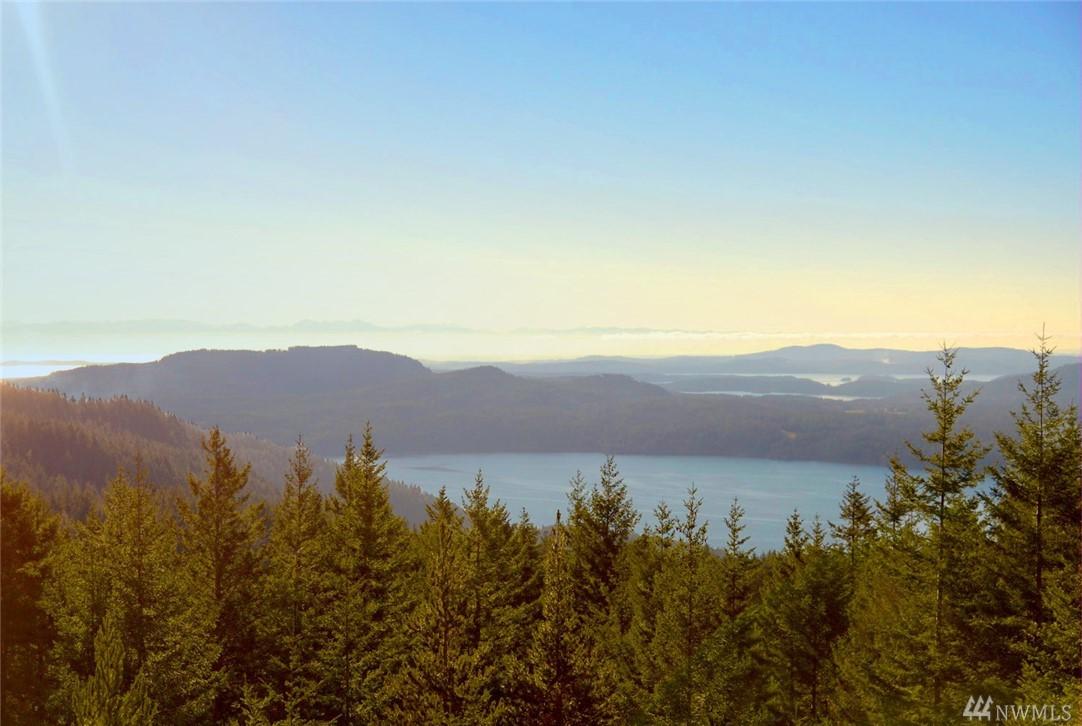 0 Lot 32 Buck Mountain Rd - Photo 1