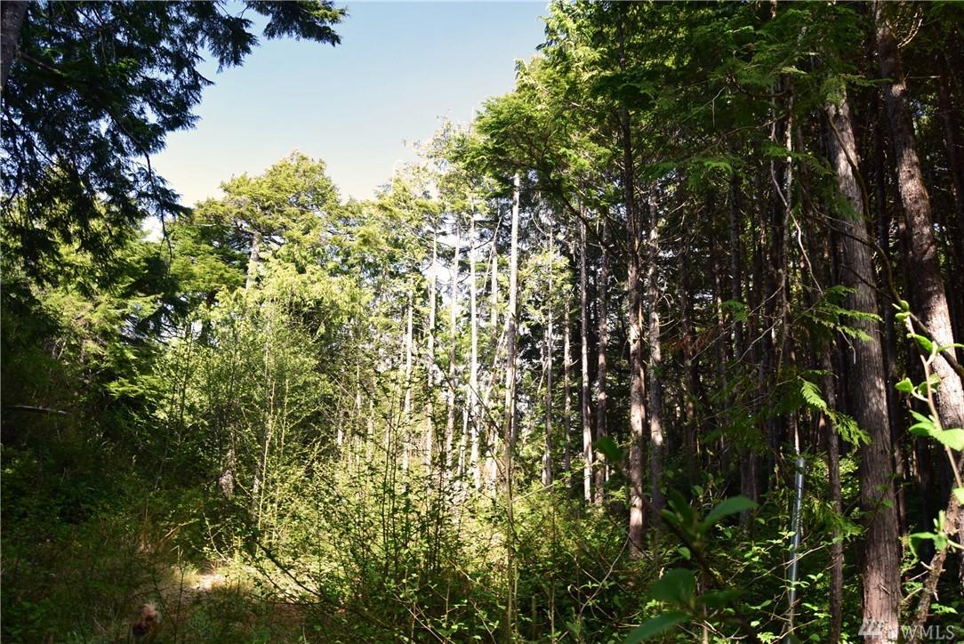 5-Lot Cooper - Photo 1