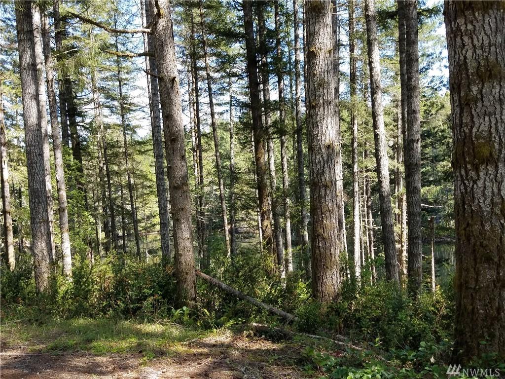 1820 Tee Lake Rd - Photo 1