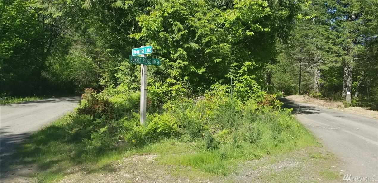 1234 Sunset Ridge Rd - Photo 1