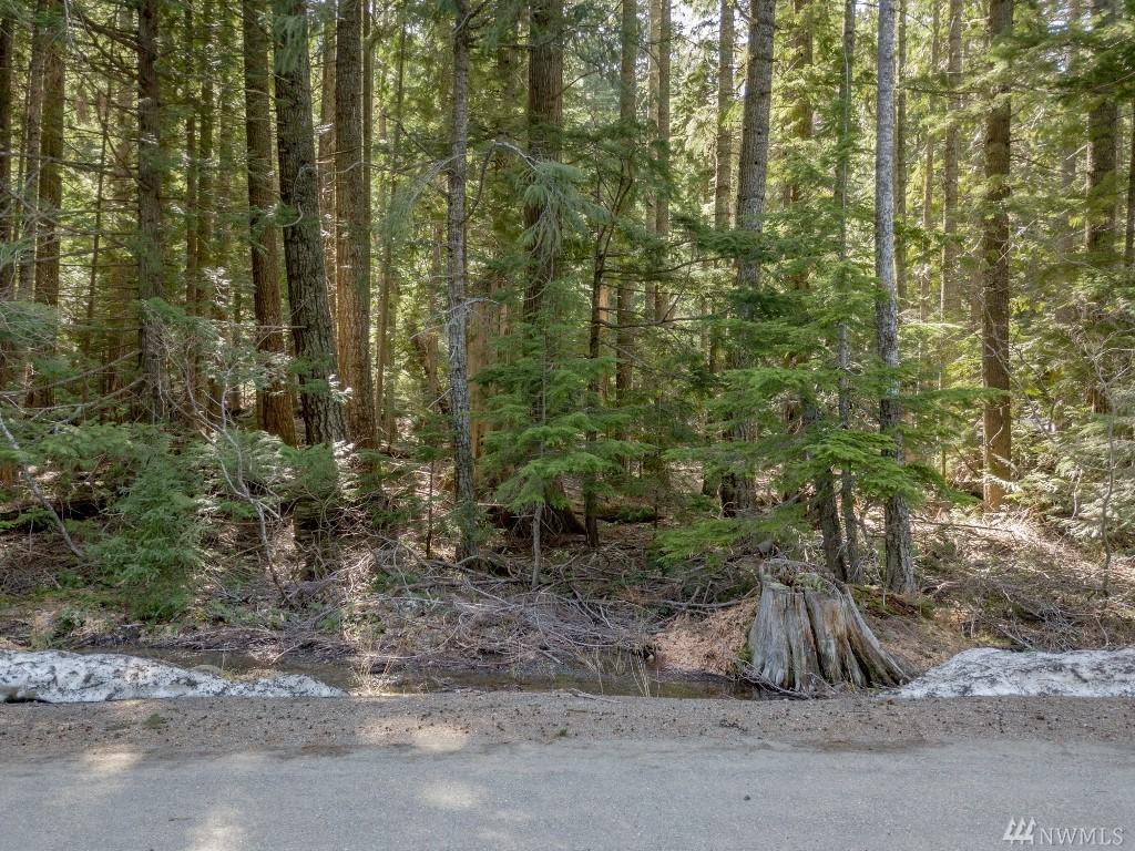 1351 Via Kachess Rd - Photo 1