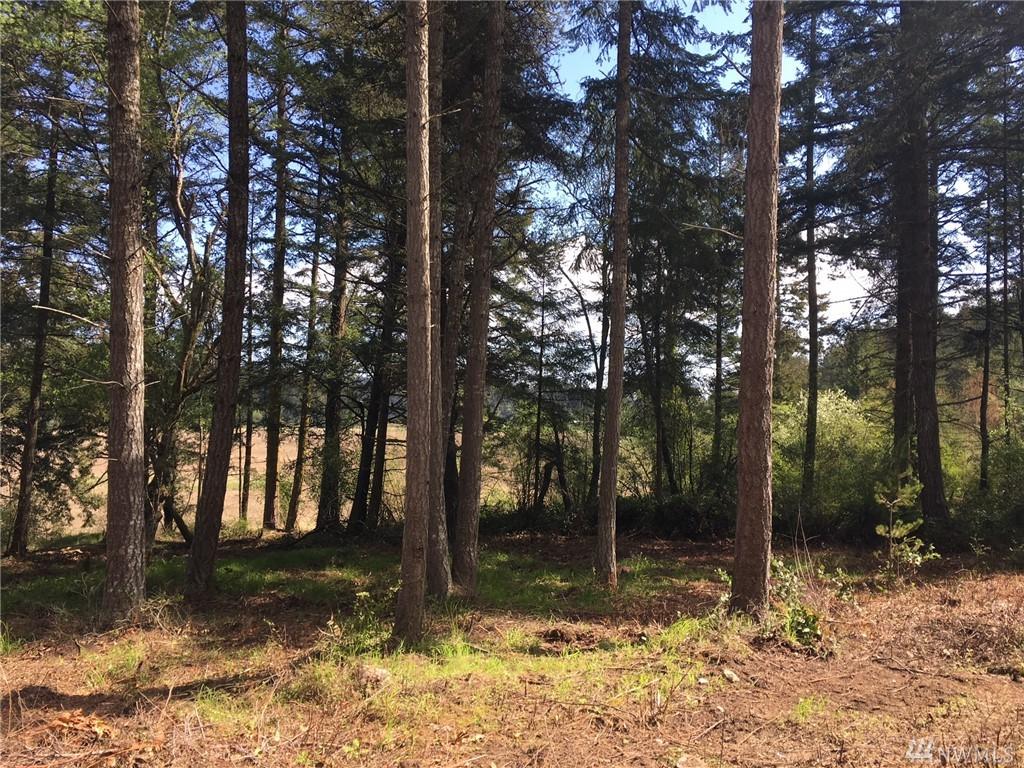 1-Lot Quadra Lane - Photo 1