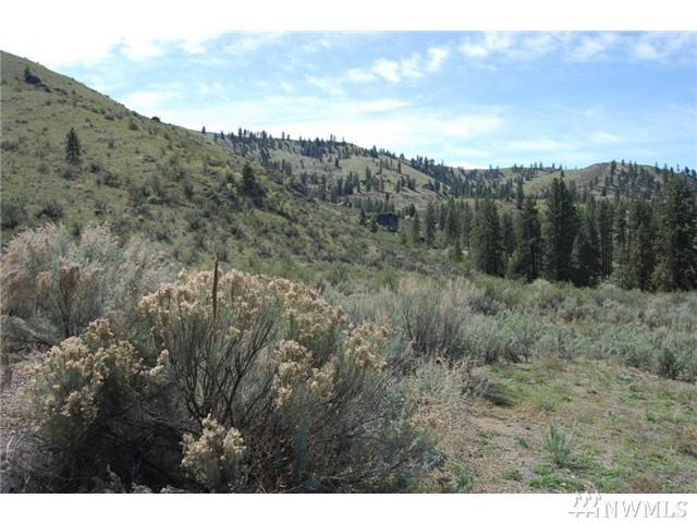 0 Mountain Springs Rd - Photo 1