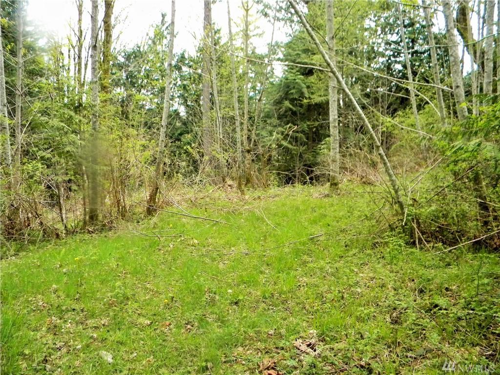 35 Lot Anderson Hill Rd - Photo 1