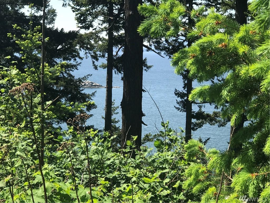 1427 Chuckanut Dr - Photo 1