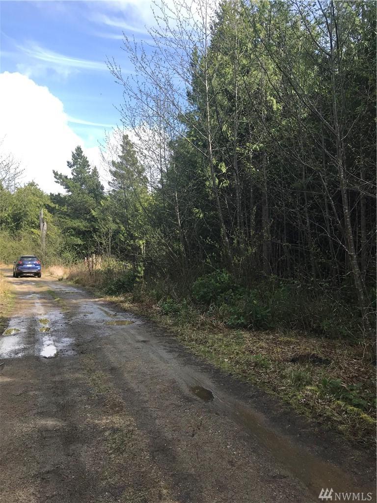 0-XXX Biggs Ave - Photo 1