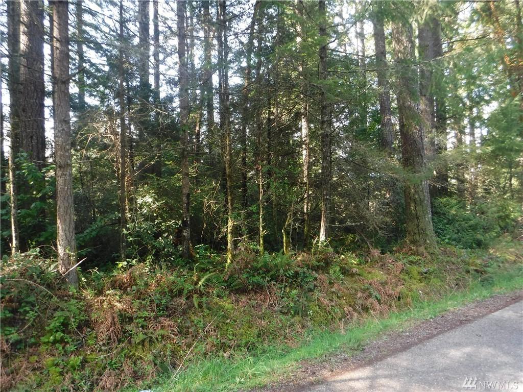 3659 Green Mountain Rd - Photo 1